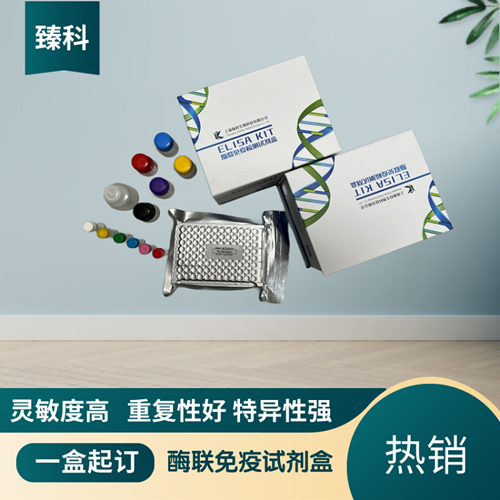人钩端螺旋体(Lebtospira）elisa试剂盒