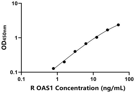 OAS1 ELISA KIT / 大鼠2',5'-寡腺苷酸合成酶1 ELISA试剂盒