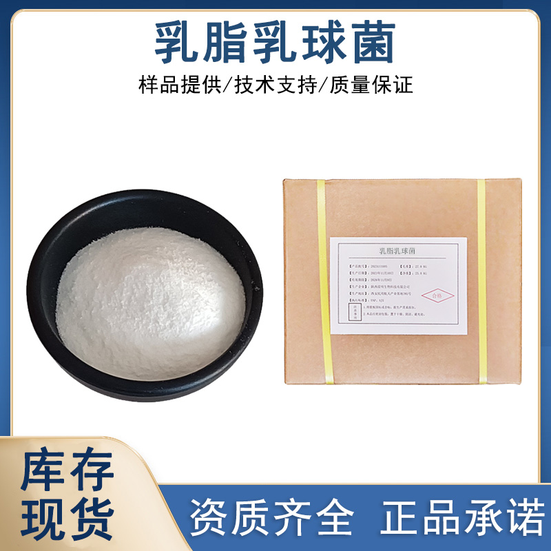 乳脂乳球菌厂家