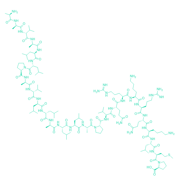 易位抑制剂多肽SN50/213546-53-3/SN50