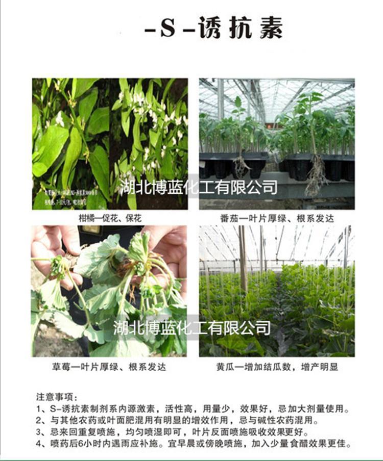 S-诱抗素(脱落酸)花期简介.jpg S-诱抗素(脱落酸)花期简介.jpg