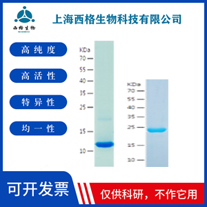 Recombinant Human ABHD10