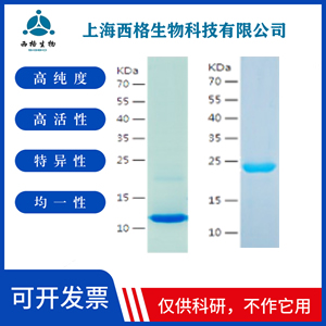 Recombinant Human TFF2