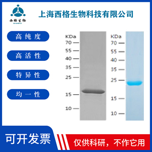 Recombinant Human TREM2