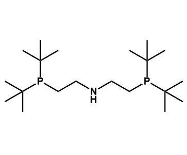 双[2-(二叔丁基膦基)乙基]胺