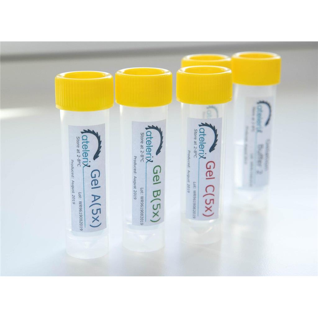 WellReady孔板模型常温保存凝胶｜Atelerix