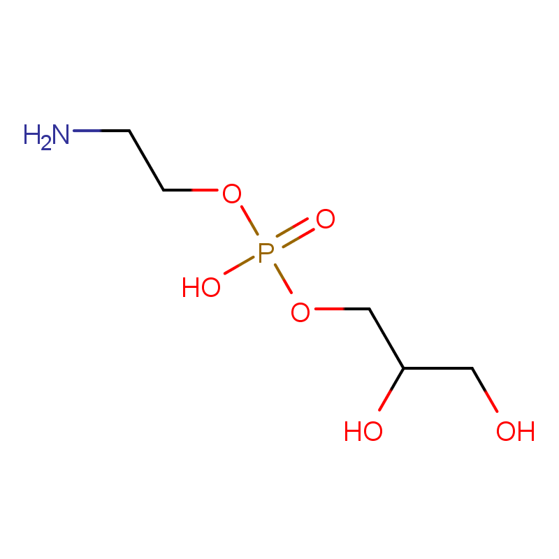 L-ALPHA-甘油磷酰乙醇胺