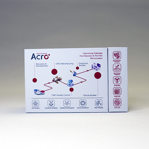 人TRAIL蛋白, His Tag