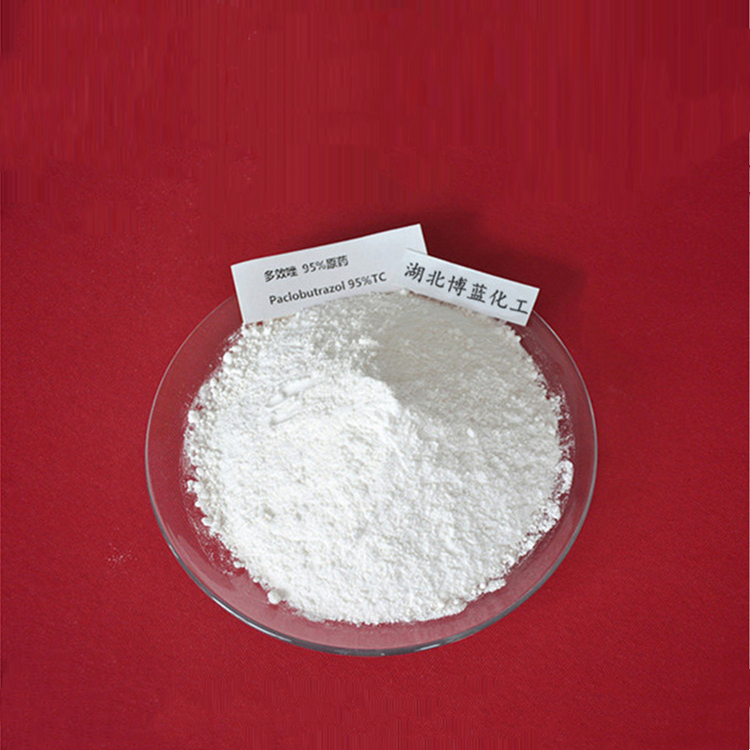 多效唑原药厂家