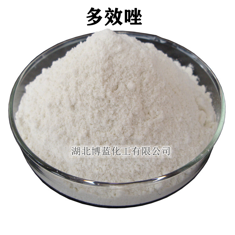 10%多效唑可湿性粉剂 控制生长