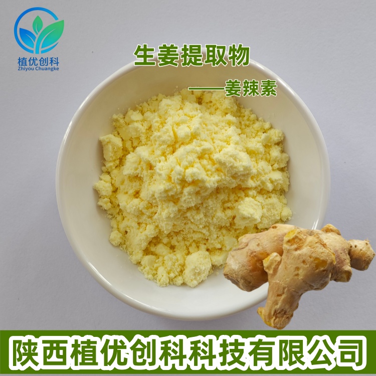 生姜提取物 姜辣素 1% 陕西植优