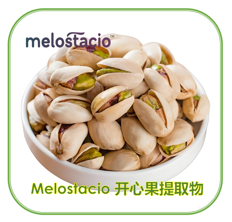 Melostacio开心果提取物开心果浓缩粉开心果粉固体饮料 