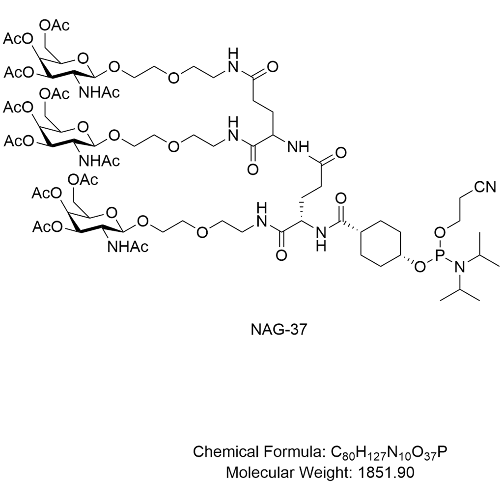 GalNAc-NAG37 亚磷酰胺单体