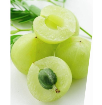 余甘子粉(提取物)