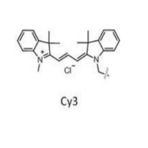 CY3单体，Cyanine 3