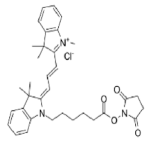 1032678-38-8，Cy3 NHS ester，Cy3-N-羟基琥珀酰亚胺酯