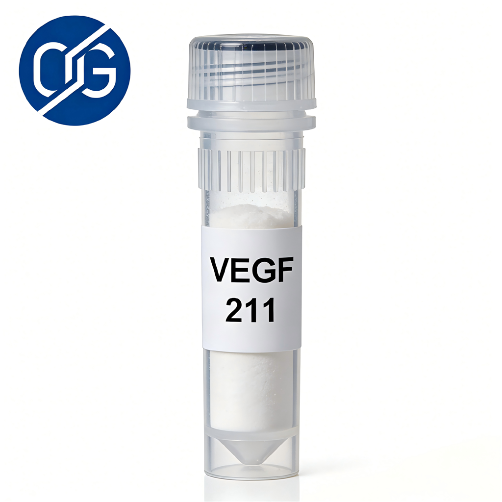 重组人血管内皮生长因子 VEGF 121