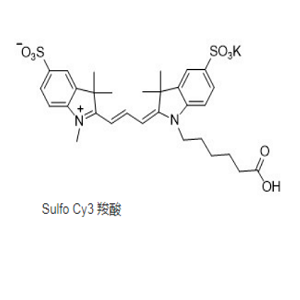 Sulfo CY3 COOH，磺酸基-Cy3羧酸