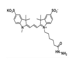 2144762-62-7，Sulfo-CY3 hydrazide，水溶CY3-酰肼