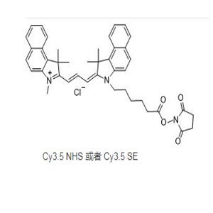 2231670-85-0，Cy3.5 NHS ester，CY3.5活化脂