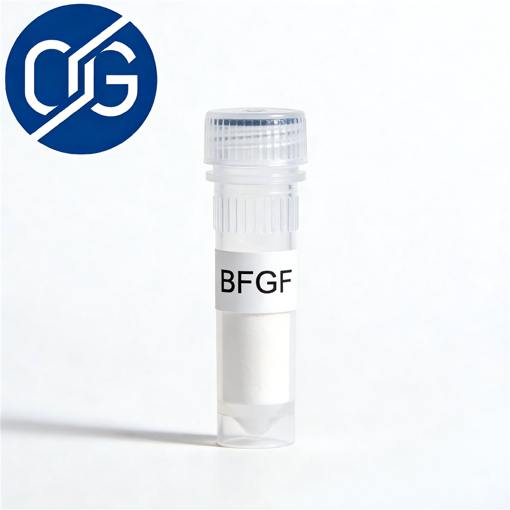 Recombinant human bFGF