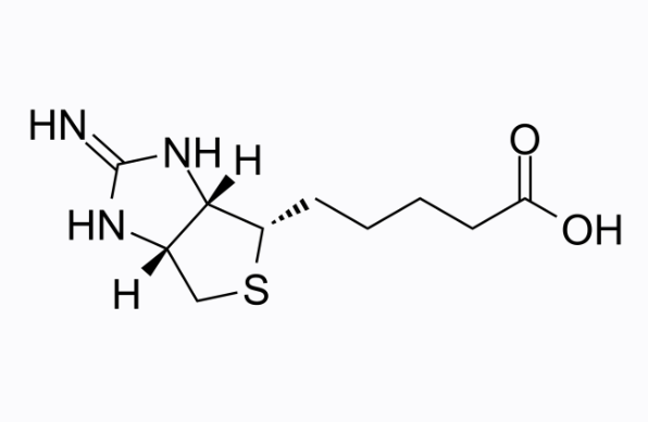 13395-35-2；2-Iminobiotin；2-亚氨基生物素