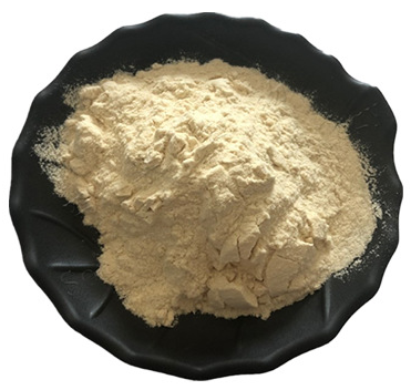 白番茄浓缩粉提取物