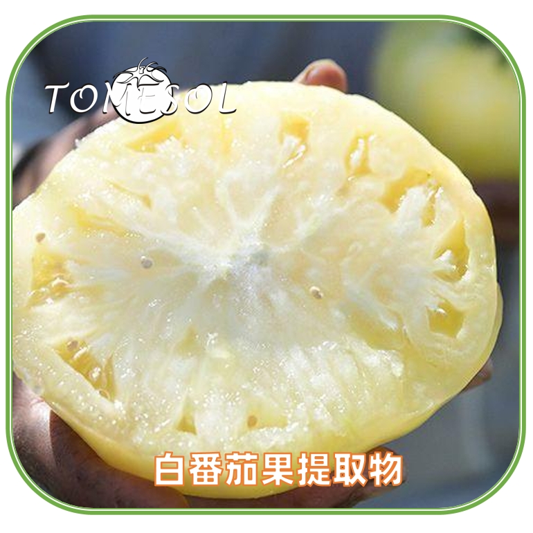 白番茄浓缩粉提取物