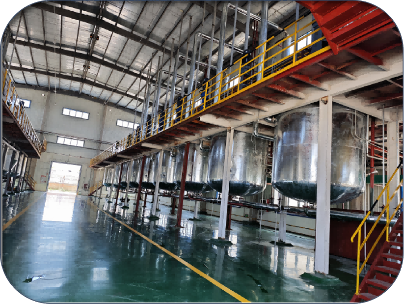 48% 灭草松水剂 排草丹 水稻大豆花生田 阔叶莎草三棱草除草剂