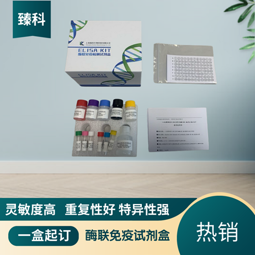 人激素敏感脂肪酶(HSL）elisa检测试剂盒