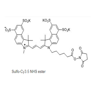 2231670-91-8，Sulfo-CY3.5 NHS ester，水溶CY3.5活化脂