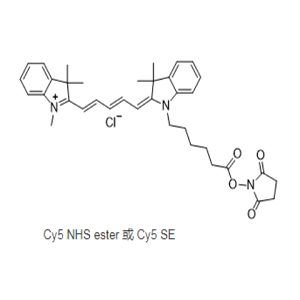 1032678-42-4，Cyanine5 NHS ester，CY5活化脂