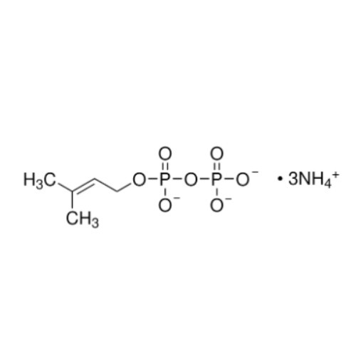 aladdin 阿拉丁 D353736 γ,γ-二甲基烯丙基焦磷酸 三铵盐 1186-30-7 ≥95%