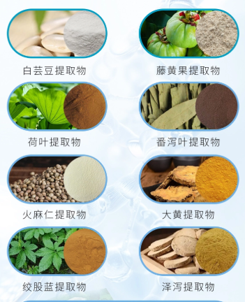 绞股蓝皂苷,含量80%,98%,绞股蓝总皂甙,绞股蓝提取物