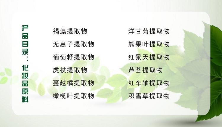 单宁酸 工业级食品级65/90/98五倍子提取物塔拉提取物