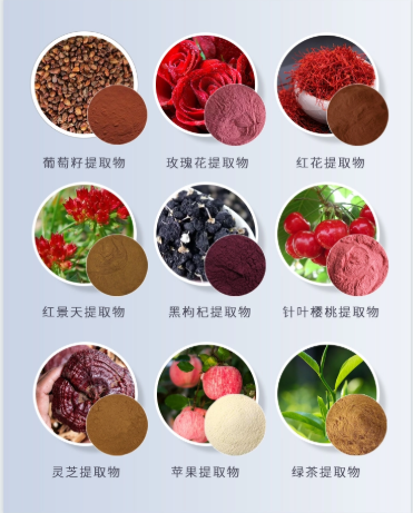 绿原酸 Chlorogenic Acid 金银花、杜仲、咖啡豆提取物 绿原酸≥5~99