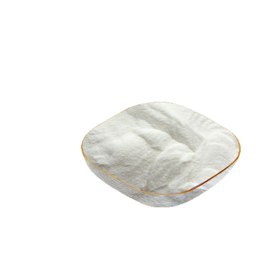 核糖核酸 