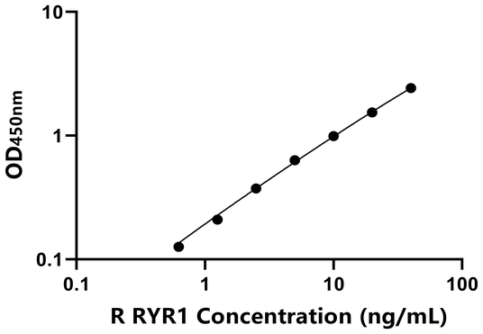 RYR1 ELISA KIT / 大鼠兰尼定受体1 ELISA试剂盒