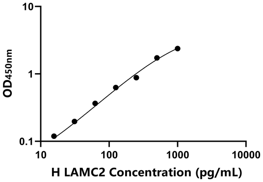 LAMC2 ELISA KIT / 人层粘连蛋白γ2 ELISA试剂盒