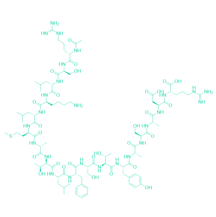 α-肌球蛋白重链肽片段肽/Myosin H Chain Fragment,mouse