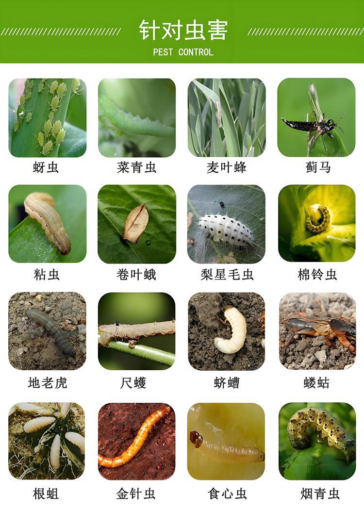辛硫磷害虫 .jpg