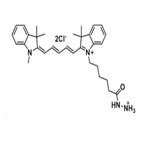 1427705-31-4，Cy5 hydrazide，CY5酰肼