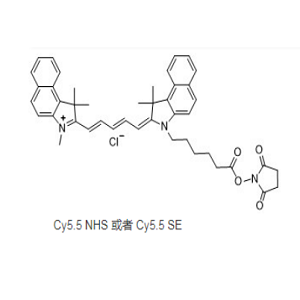 1469277-96-0，CY5.5 NHS ester，CY5.5 琥珀酰亚胺酯