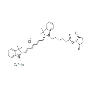 1432466-81-3，CYanine7 NHS ester，CY7 NHS活化脂