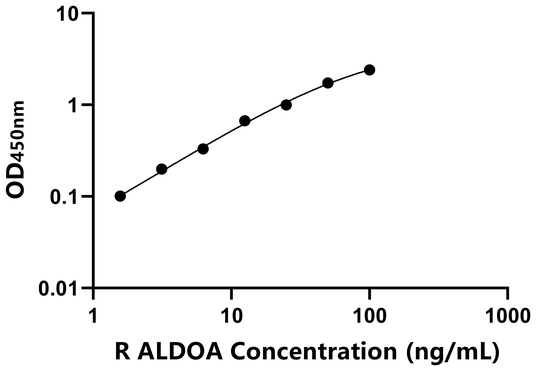 ALDOA ELISA KIT / 大鼠果糖二磷酸醛缩酶A ELISA试剂盒