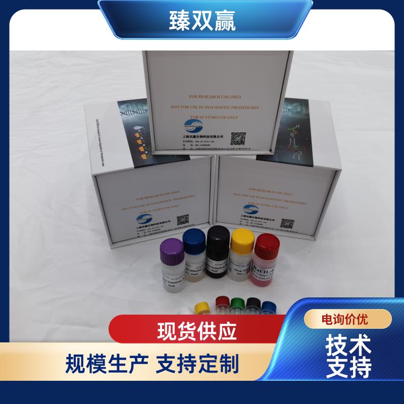 牛B细胞淋巴瘤因子2（Bcl-2）ELISA试剂盒