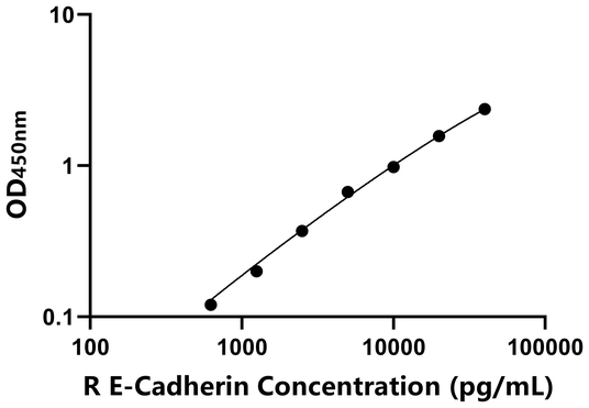 E-Cadherin ELISA KIT / 大鼠E-钙粘附分子 ELISA试剂盒