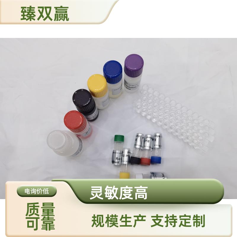 牛狂犬病毒（RV）ELISA试剂盒