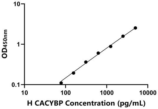 CACYBP ELISA KIT / 人钙周期素结合蛋白 ELISA试剂盒