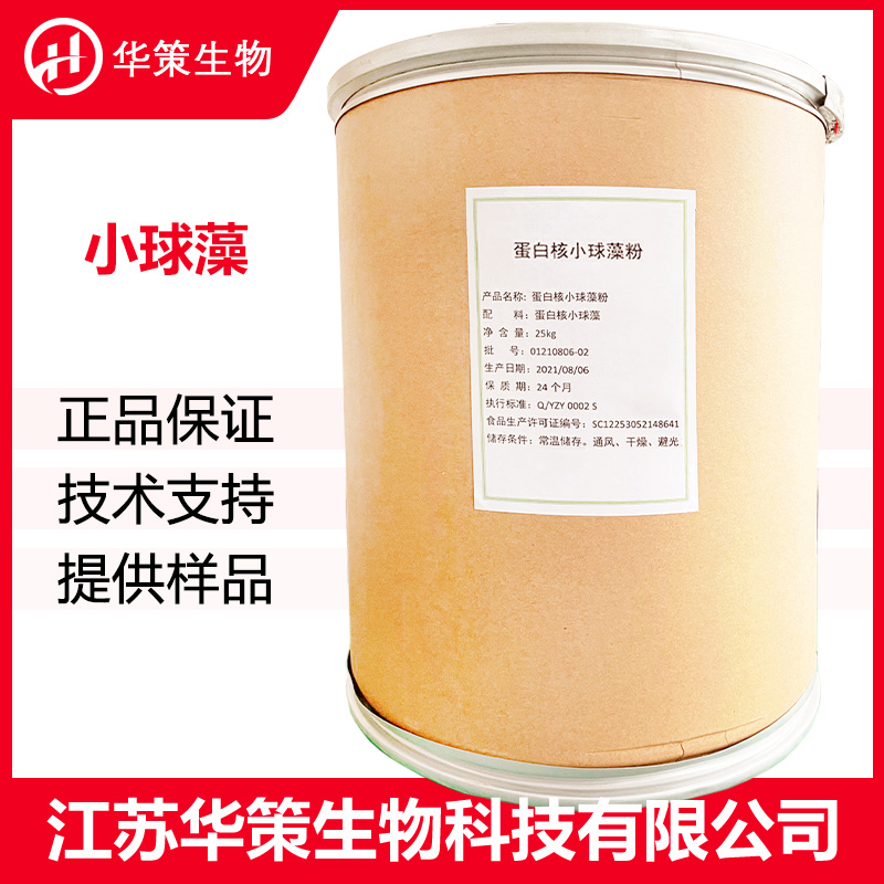 小球藻厂家